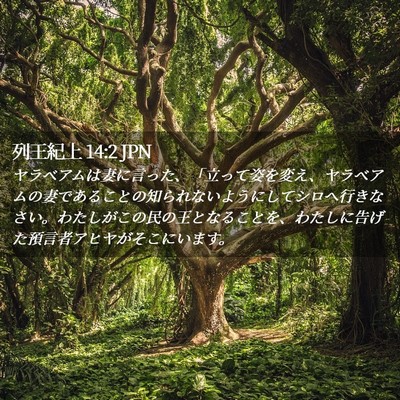 Picture 02 - 列王紀上 14:2 JPN - ヤラベアムは妻に言った、「立って - Bible Verse Picture
