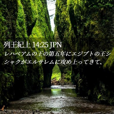 Picture 02 - 列王紀上 14:25 JPN - レハベアムの王の第五年にエジプト - Bible Verse Picture