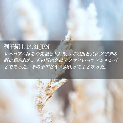 Picture 02 - 列王紀上 14:31 JPN - レハベアムはその先祖と共に眠って - Bible Verse Picture