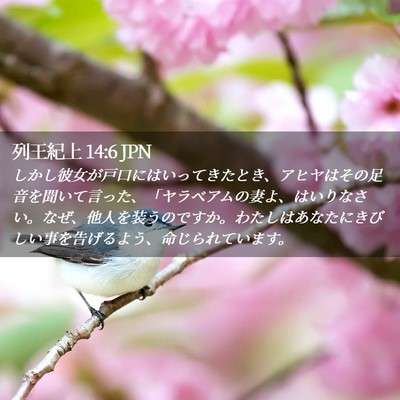 Picture 02 - 列王紀上 14:6 JPN - しかし彼女が戸口にはいってきたと - Bible Verse Picture