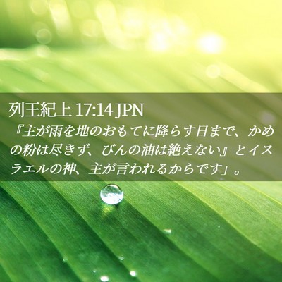 Picture 02 - 列王紀上 17:14 JPN - 『主が雨を地のおもてに降らす日ま - Bible Verse Picture
