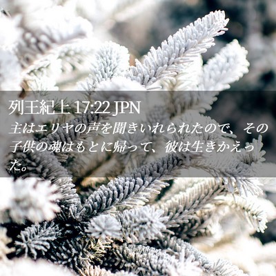 Picture 02 - 列王紀上 17:22 JPN - 主はエリヤの声を聞きいれられたの - Bible Verse Picture