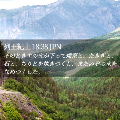 Picture 02 - 列王紀上 18:38 JPN - そのとき主の火が下って燔祭と、た - Bible Verse Picture