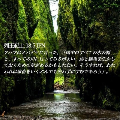 Picture 02 - 列王紀上 18:5 JPN - アハブはオバデヤに言った、「国中 - Bible Verse Picture