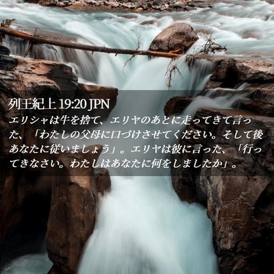 Picture 02 - 列王紀上 19:20 JPN - エリシャは牛を捨て、エリヤのあと - Bible Verse Picture