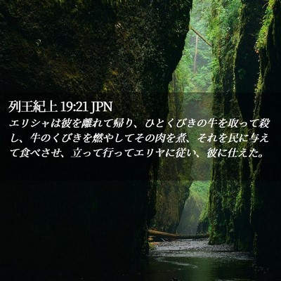 Picture 02 - 列王紀上 19:21 JPN - エリシャは彼を離れて帰り、ひとく - Bible Verse Picture