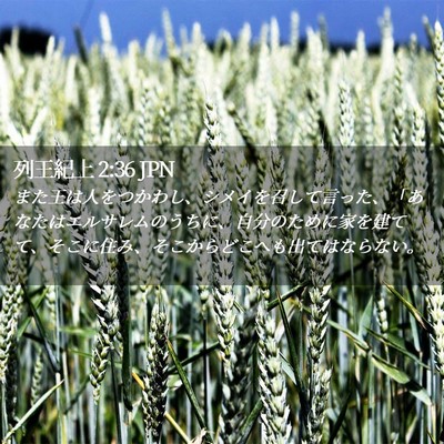 Picture 02 - 列王紀上 2:36 JPN - また王は人をつかわし、シメイを召 - Bible Verse Picture