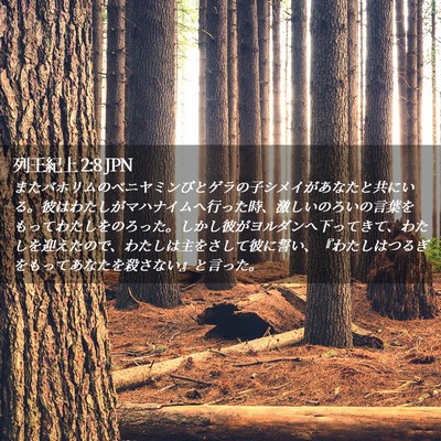 Picture 02 - 列王紀上 2:8 JPN - またバホリムのベニヤミンびとゲラ - Bible Verse Picture