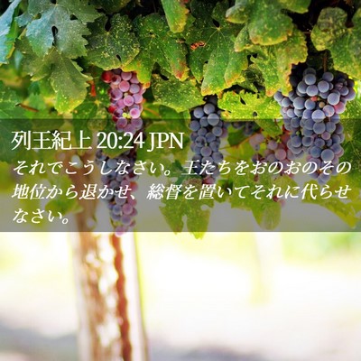 Picture 02 - 列王紀上 20:24 JPN - それでこうしなさい。王たちをおの - Bible Verse Picture