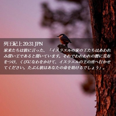 Picture 02 - 列王紀上 20:31 JPN - 家来たちは彼に言った、「イスラエ - Bible Verse Picture