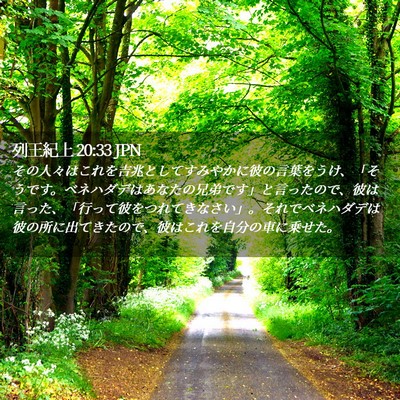 Picture 02 - 列王紀上 20:33 JPN - その人々はこれを吉兆としてすみや - Bible Verse Picture
