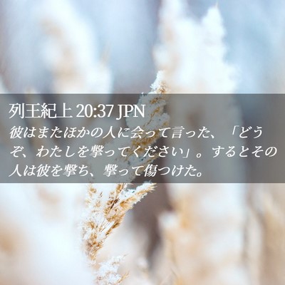 Picture 02 - 列王紀上 20:37 JPN - 彼はまたほかの人に会って言った、 - Bible Verse Picture