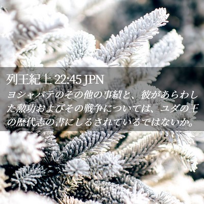 Picture 02 - 列王紀上 22:45 JPN - ヨシャパテのその他の事績と、彼が - Bible Verse Picture