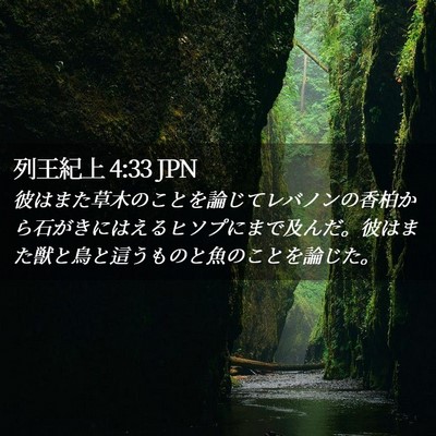 Picture 02 - 列王紀上 4:33 JPN - 彼はまた草木のことを論じてレバノ - Bible Verse Picture