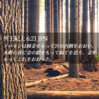 Picture 02 - 列王紀上 6:21 JPN - ソロモンは純金をもって宮の内側を - Bible Verse Picture