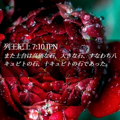 Picture 02 - 列王紀上 7:10 JPN - また土台は高価な石、大きな石、す - Bible Verse Picture