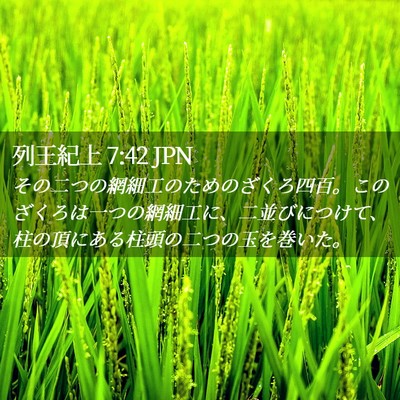 Picture 02 - 列王紀上 7:42 JPN - その二つの網細工のためのざくろ四 - Bible Verse Picture