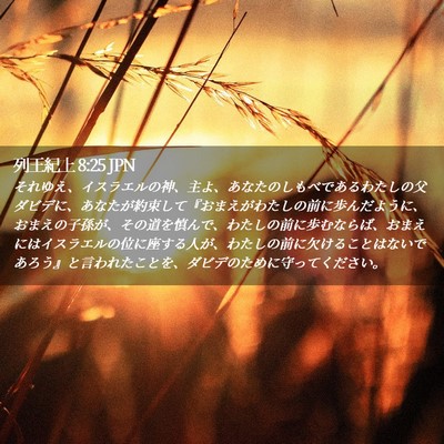 Picture 02 - 列王紀上 8:25 JPN - それゆえ、イスラエルの神、主よ、 - Bible Verse Picture