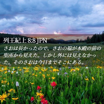 Picture 02 - 列王紀上 8:8 JPN - さおは長かったので、さおの端が本 - Bible Verse Picture