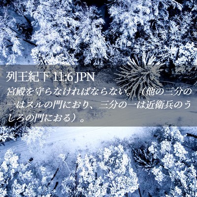 Picture 02 - 列王紀下 11:6 JPN - 宮殿を守らなければならない。（他 - Bible Verse Picture