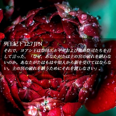 Picture 02 - 列王紀下 12:7 JPN - それで、ヨアシ王は祭司エホヤダお - Bible Verse Picture