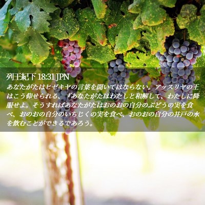 Picture 02 - 列王紀下 18:31 JPN - あなたがたはヒゼキヤの言葉を聞い - Bible Verse Picture