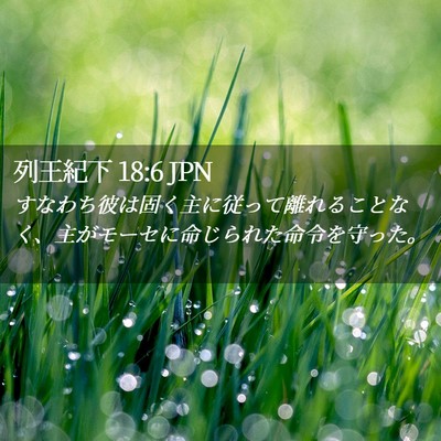 Picture 02 - 列王紀下 18:6 JPN - すなわち彼は固く主に従って離れる - Bible Verse Picture
