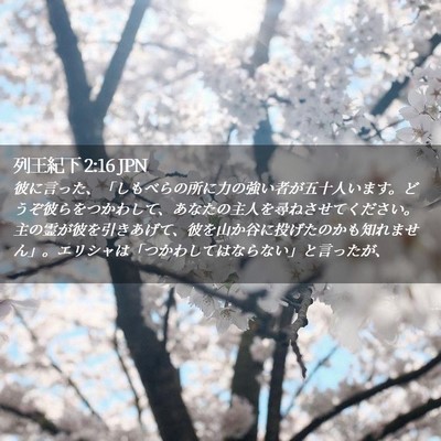 Picture 02 - 列王紀下 2:16 JPN - 彼に言った、「しもべらの所に力の - Bible Verse Picture