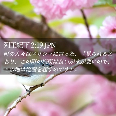 Picture 02 - 列王紀下 2:19 JPN - 町の人々はエリシャに言った、「見 - Bible Verse Picture