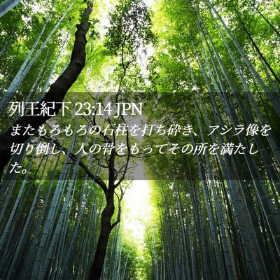Picture 02 - 列王紀下 23:14 JPN - またもろもろの石柱を打ち砕き、ア - Bible Verse Picture