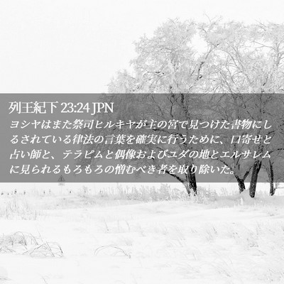 Picture 02 - 列王紀下 23:24 JPN - ヨシヤはまた祭司ヒルキヤが主の宮 - Bible Verse Picture