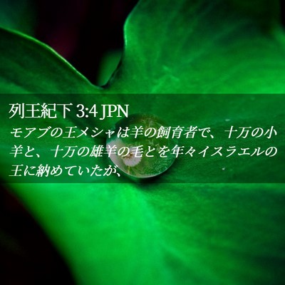 Picture 02 - 列王紀下 3:4 JPN - モアブの王メシャは羊の飼育者で、 - Bible Verse Picture