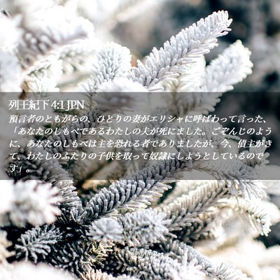 Picture 02 - 列王紀下 4:1 JPN - 預言者のともがらの、ひとりの妻が - Bible Verse Picture