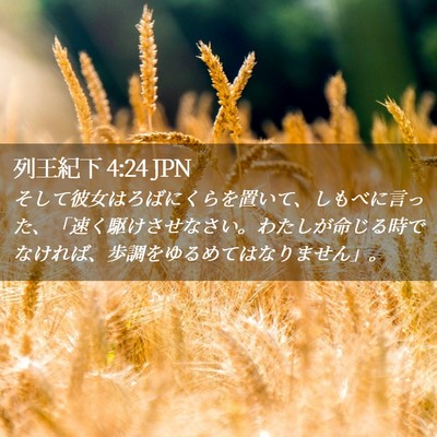 Picture 02 - 列王紀下 4:24 JPN - そして彼女はろばにくらを置いて、 - Bible Verse Picture