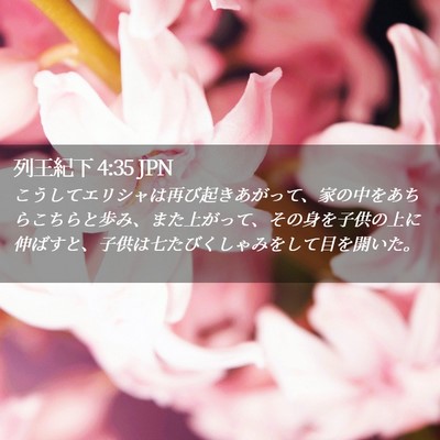 Picture 02 - 列王紀下 4:35 JPN - こうしてエリシャは再び起きあがっ - Bible Verse Picture