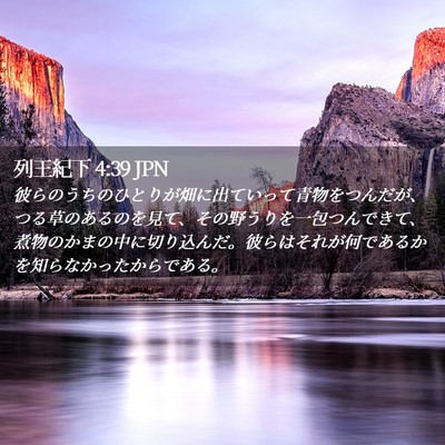 Picture 02 - 列王紀下 4:39 JPN - 彼らのうちのひとりが畑に出ていっ - Bible Verse Picture