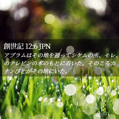 Picture 02 - 創世記 12:6 JPN - アブラムはその地を通ってシケムの - Bible Verse Picture