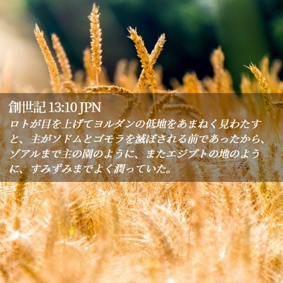 Picture 02 - 創世記 13:10 JPN - ロトが目を上げてヨルダンの低地を - Bible Verse Picture