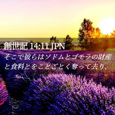 Picture 02 - 創世記 14:11 JPN - そこで彼らはソドムとゴモラの財産 - Bible Verse Picture