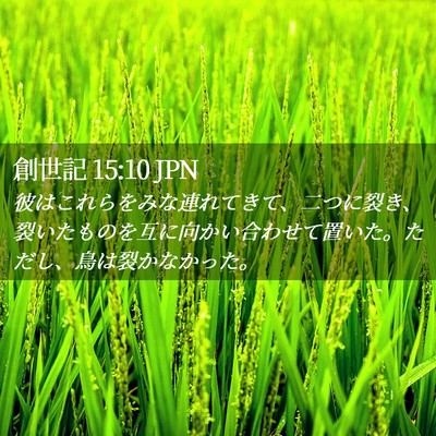 Picture 02 - 創世記 15:10 JPN - 彼はこれらをみな連れてきて、二つ - Bible Verse Picture