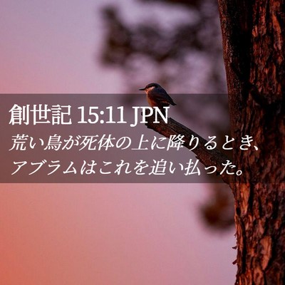 Picture 02 - 創世記 15:11 JPN - 荒い鳥が死体の上に降りるとき、ア - Bible Verse Picture