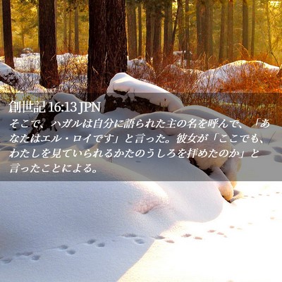 Picture 02 - 創世記 16:13 JPN - そこで、ハガルは自分に語られた主 - Bible Verse Picture