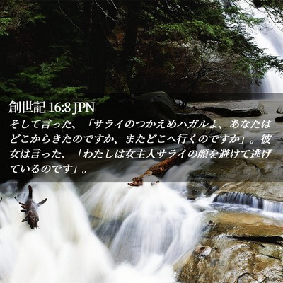 Picture 02 - 創世記 16:8 JPN - そして言った、「サライのつかえめ - Bible Verse Picture