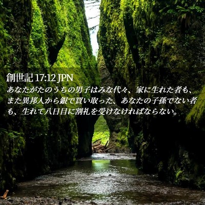 Picture 02 - 創世記 17:12 JPN - あなたがたのうちの男子はみな代々 - Bible Verse Picture