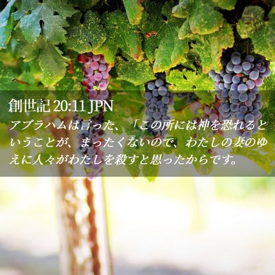 Picture 02 - 創世記 20:11 JPN - アブラハムは言った、「この所には - Bible Verse Picture