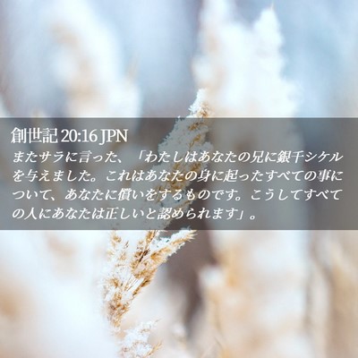 Picture 02 - 創世記 20:16 JPN - またサラに言った、「わたしはあな - Bible Verse Picture