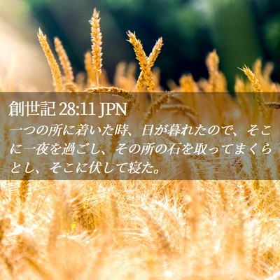 Picture 02 - 創世記 28:11 JPN - 一つの所に着いた時、日が暮れたの - Bible Verse Picture