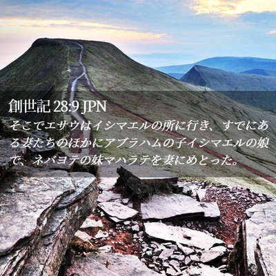 Picture 02 - 創世記 28:9 JPN - そこでエサウはイシマエルの所に行 - Bible Verse Picture