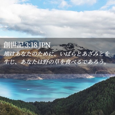 Picture 02 - 創世記 3:18 JPN - 地はあなたのために、いばらとあざ - Bible Verse Picture