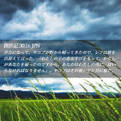 Picture 02 - 創世記 30:16 JPN - 夕方になって、ヤコブが野から帰っ - Bible Verse Picture